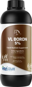 VL-Boron