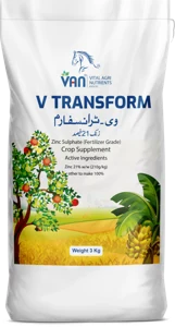 V-Transform