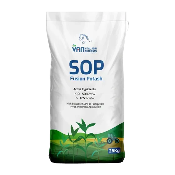 SOP