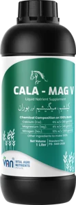 Cala-Mag V