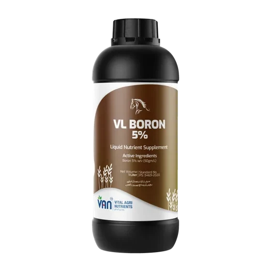 VL-Boron