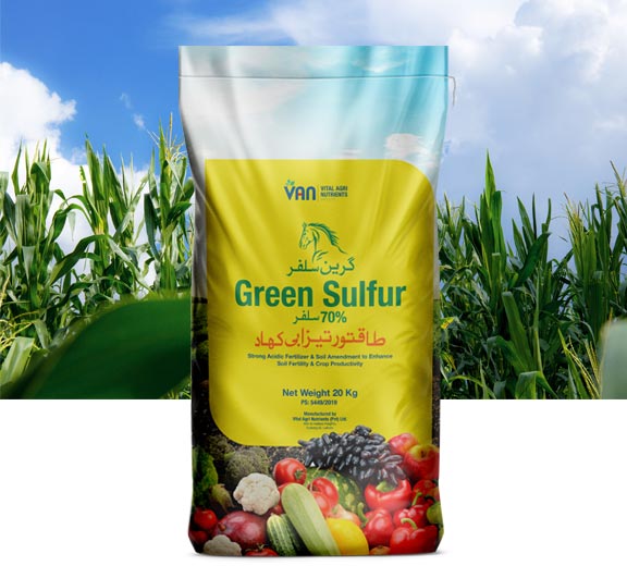 Green-Sulfur-2