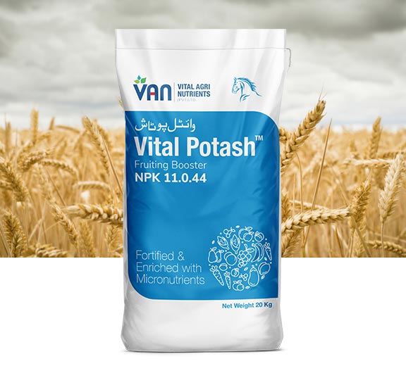 vital-potash-1