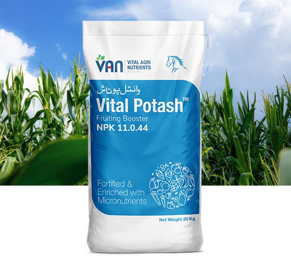 vital-potash-2